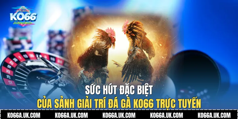 Sức hút đặc biệt của sảnh giải trí Đá Gà Ko66 trực tuyến